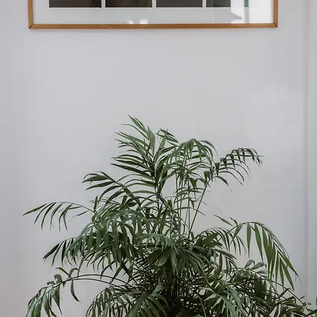 Spacious Apartment Seville